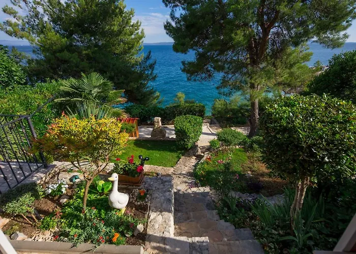 Mateo * טרוגיר